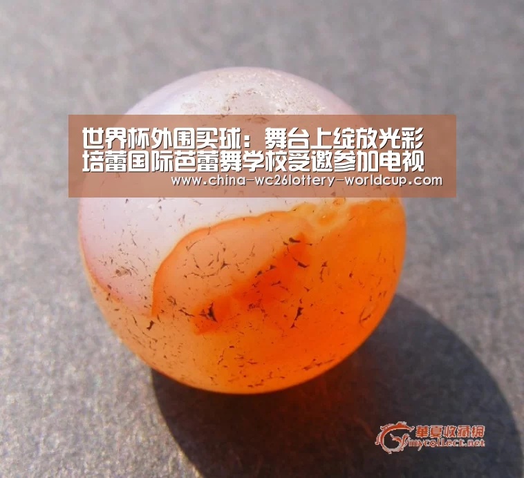 世界杯买球网站