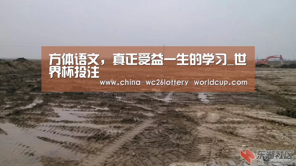 世界杯买球网站