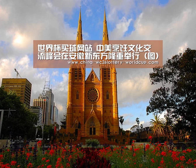 世界杯买球网站_中美烹饪文化交流峰会在安徽新东方隆重举行(图)(图1) 世界杯投注