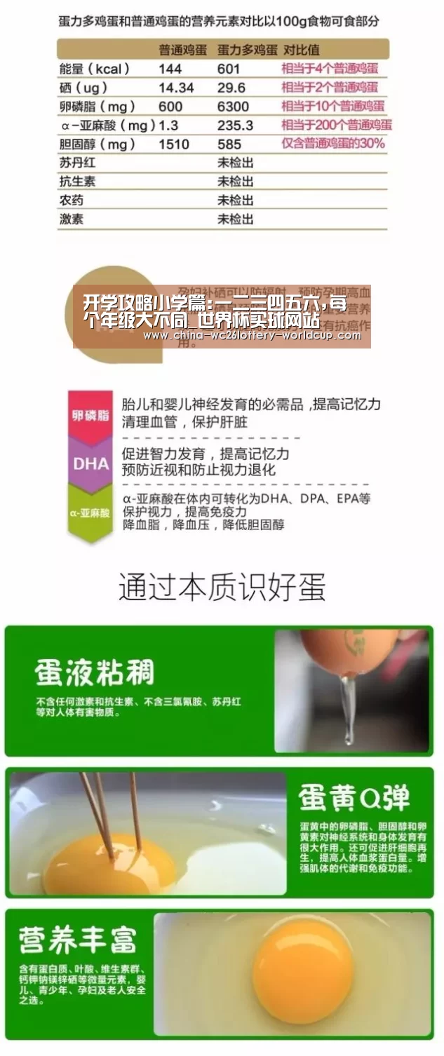 开学攻略小学篇:一二三四五六,每个年级大不同_世界杯买球网站